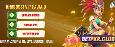 پاکستان کا بہترین گیمنگ ایپ banner